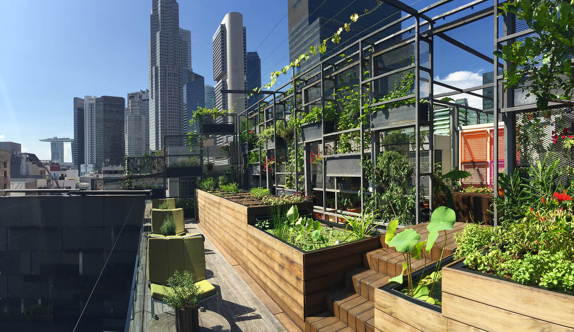 WOHA Rooftop Urban Farm - Archigardener